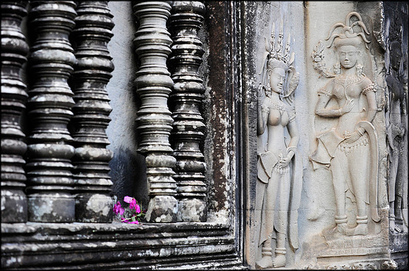 Carvings and Flowers Angkor Wat