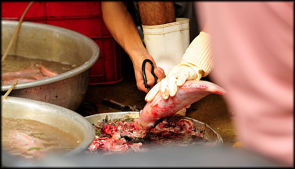 Fish market 2
