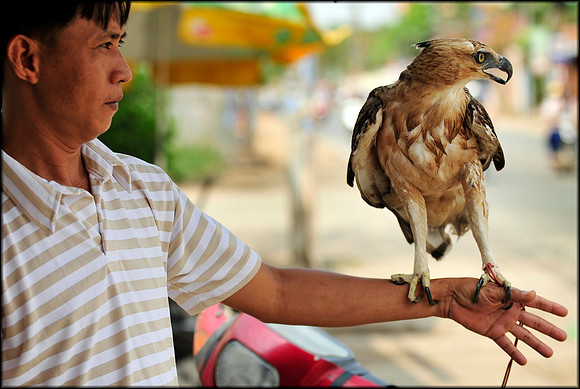 Bird of Prey and Owner Outside Saigon Shop
