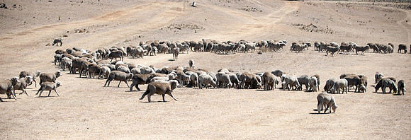 SYDNEY MORNING HERALD DROUGHT FEATURE 3