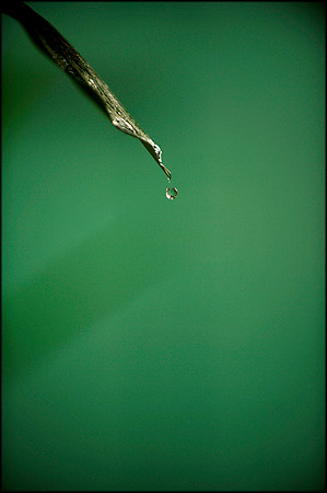Wet 4
