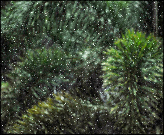 Wet 8