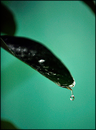 Wet 3