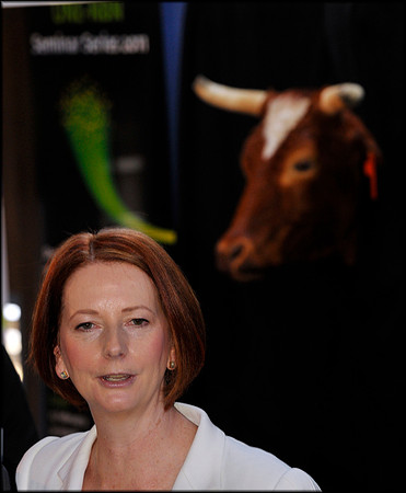 Pm Julia Gillard for Daily Telegraph 2